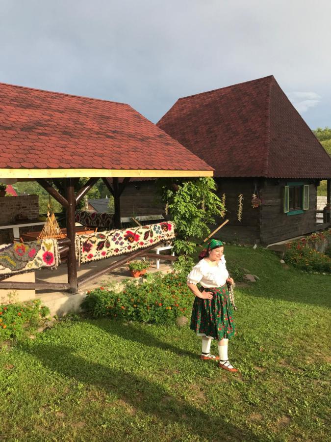 Casa Relax Ξενοδοχείο Văleni Εξωτερικό φωτογραφία