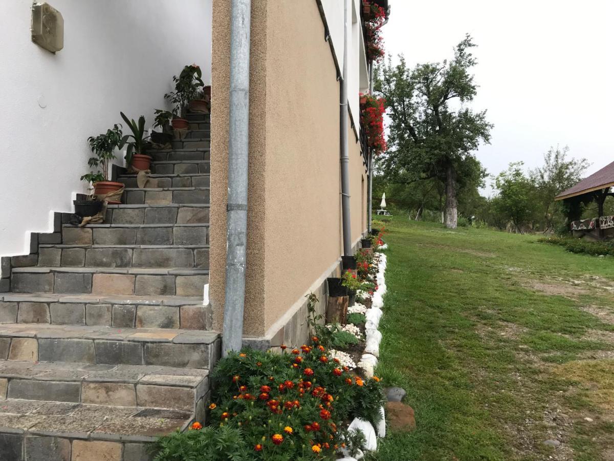 Casa Relax Ξενοδοχείο Văleni Εξωτερικό φωτογραφία